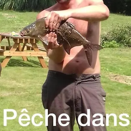 A La Campagne Avec Piscine Durtal