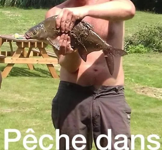 A La Campagne Avec Piscine Durtal